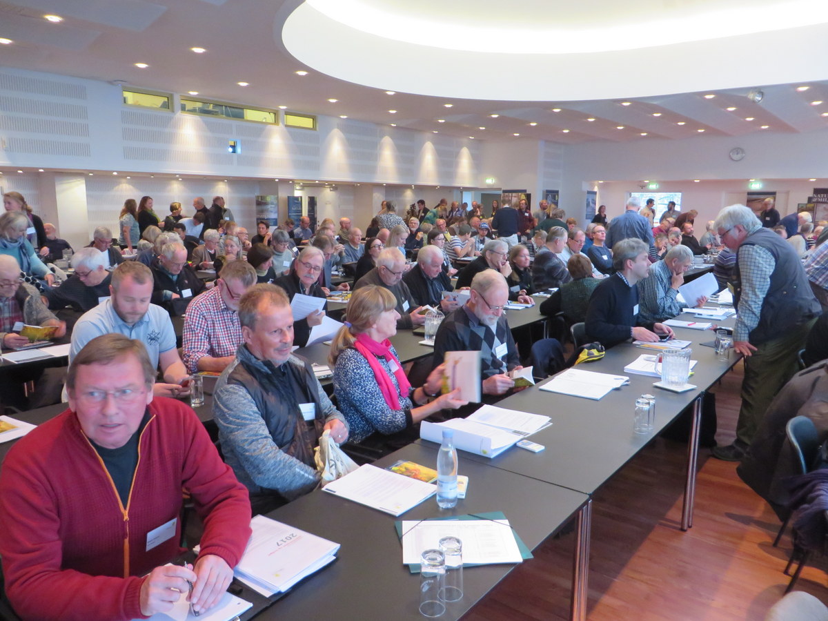 Fra DNs repræsentantskabsmøde i Aalborg, november 2016