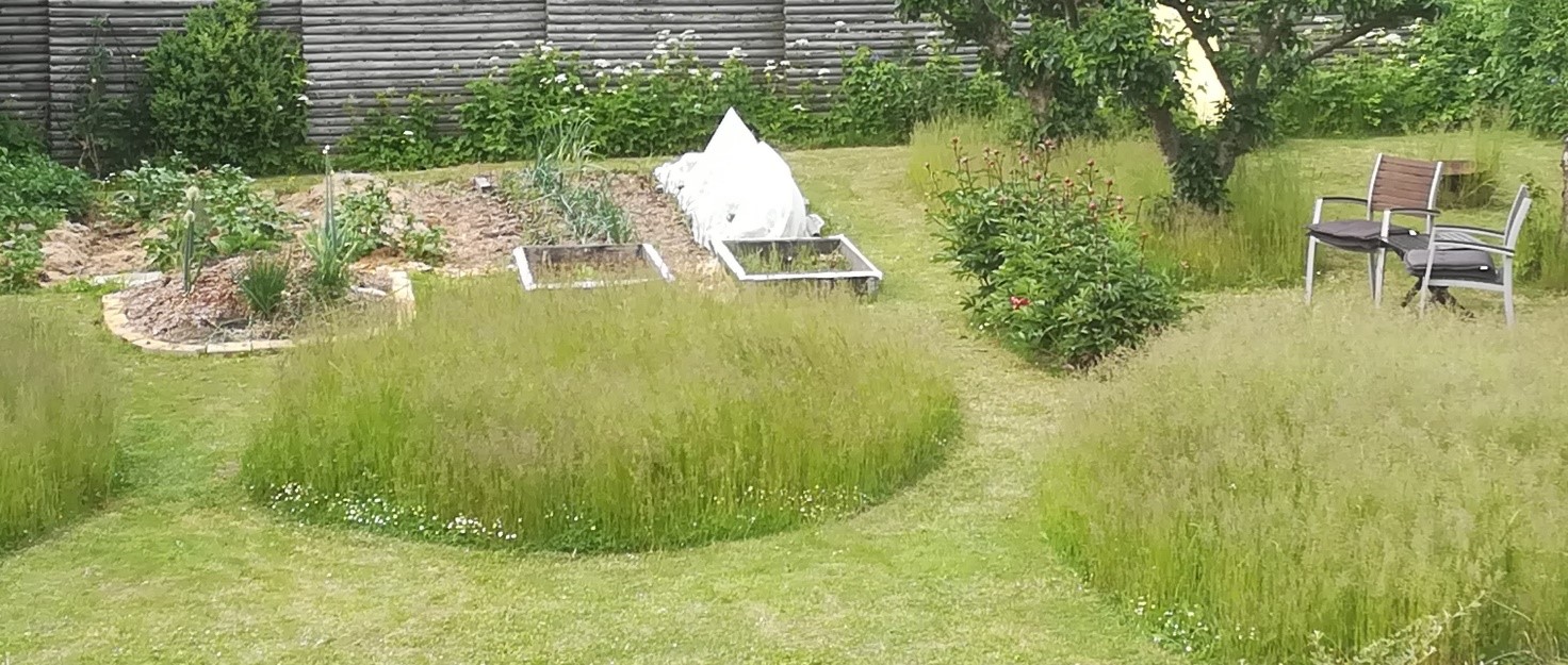 Vild med vilje i haven, til venstre ses et lille hügelbed med flerårige løgplanter, privat foto