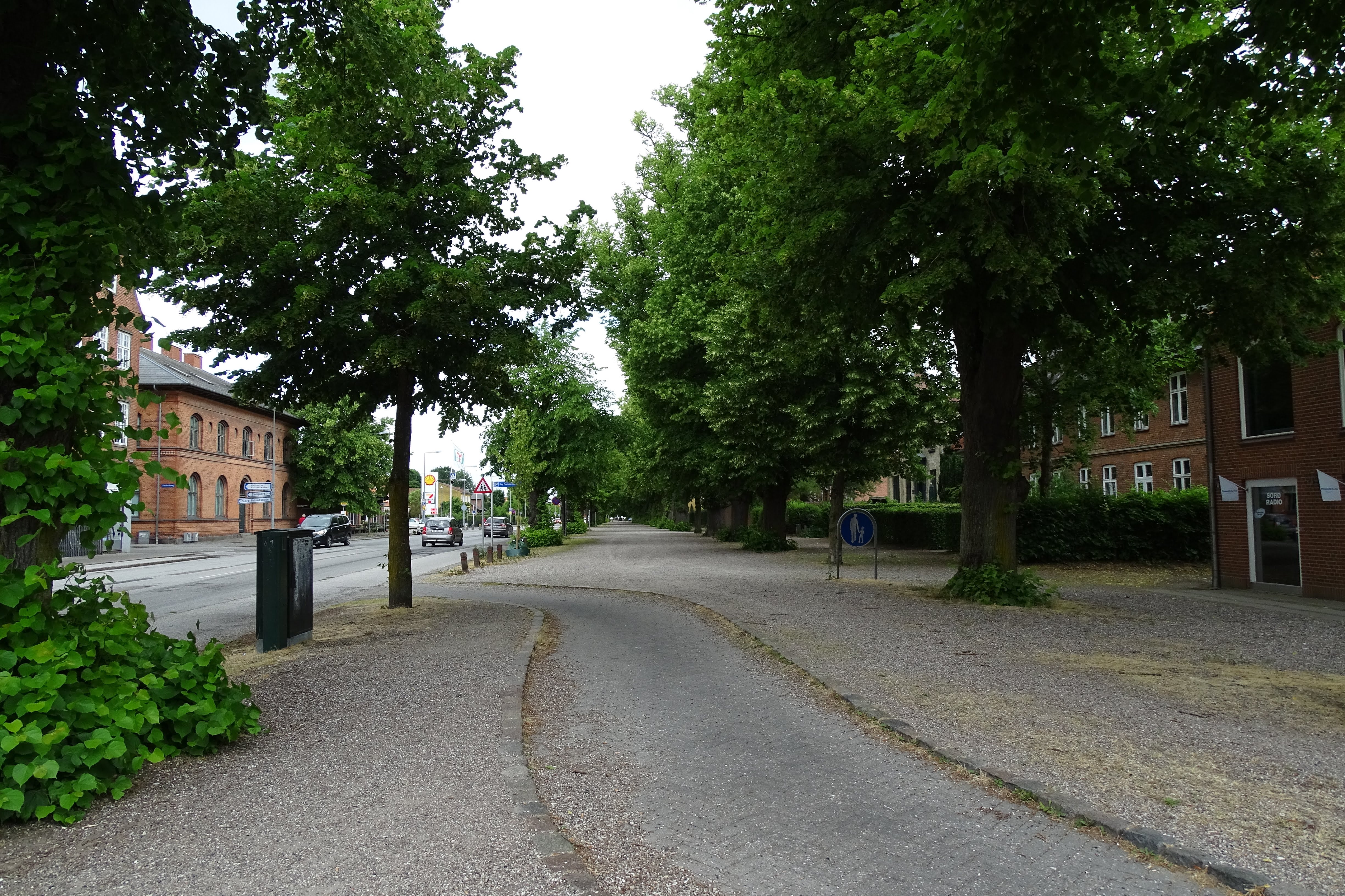 Reitzensteins Allé set fra Sorø Bymidte