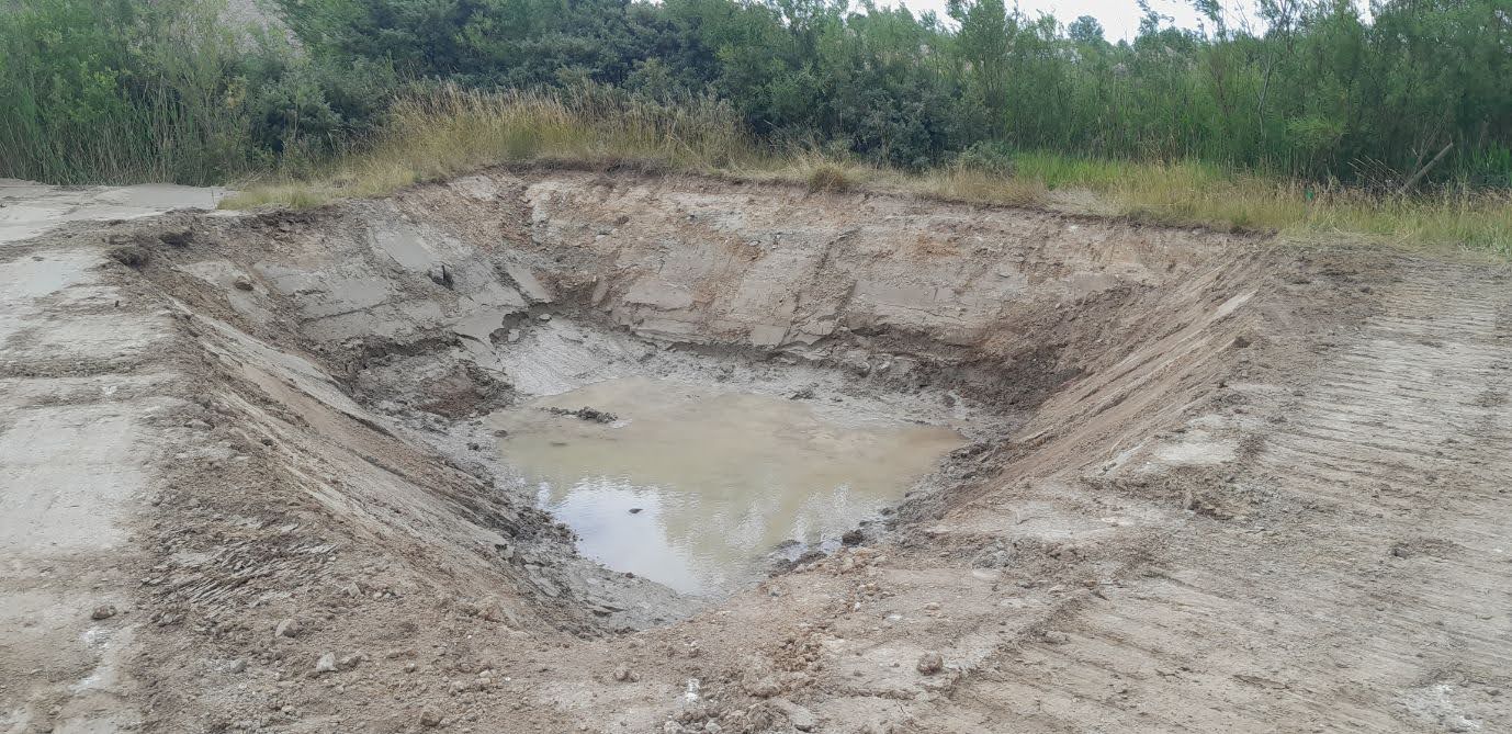Udgravet ynglevandhul for strandtudse i Stenlille Grusgrav