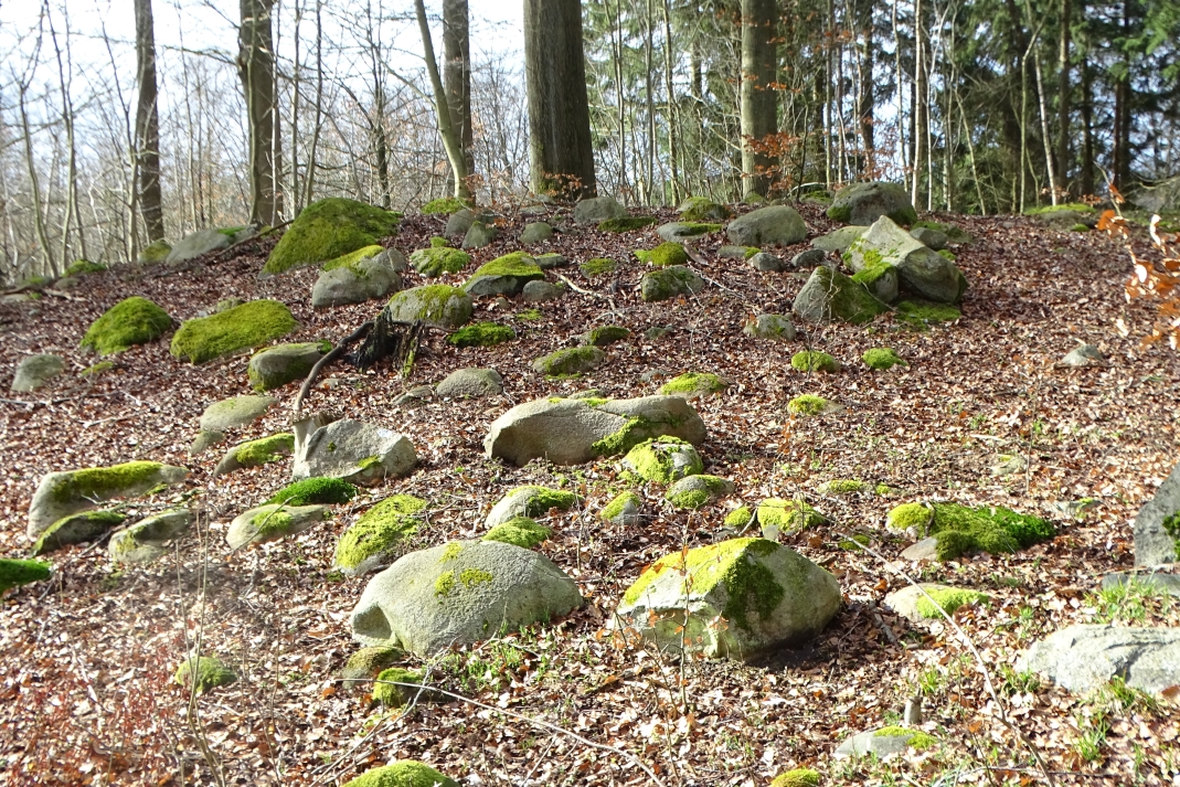 Stenbestrøning i Horsebøg Skov