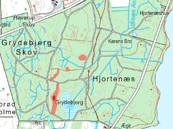 Kort over Grydebjerg Skov med markerede stenbestrøninger