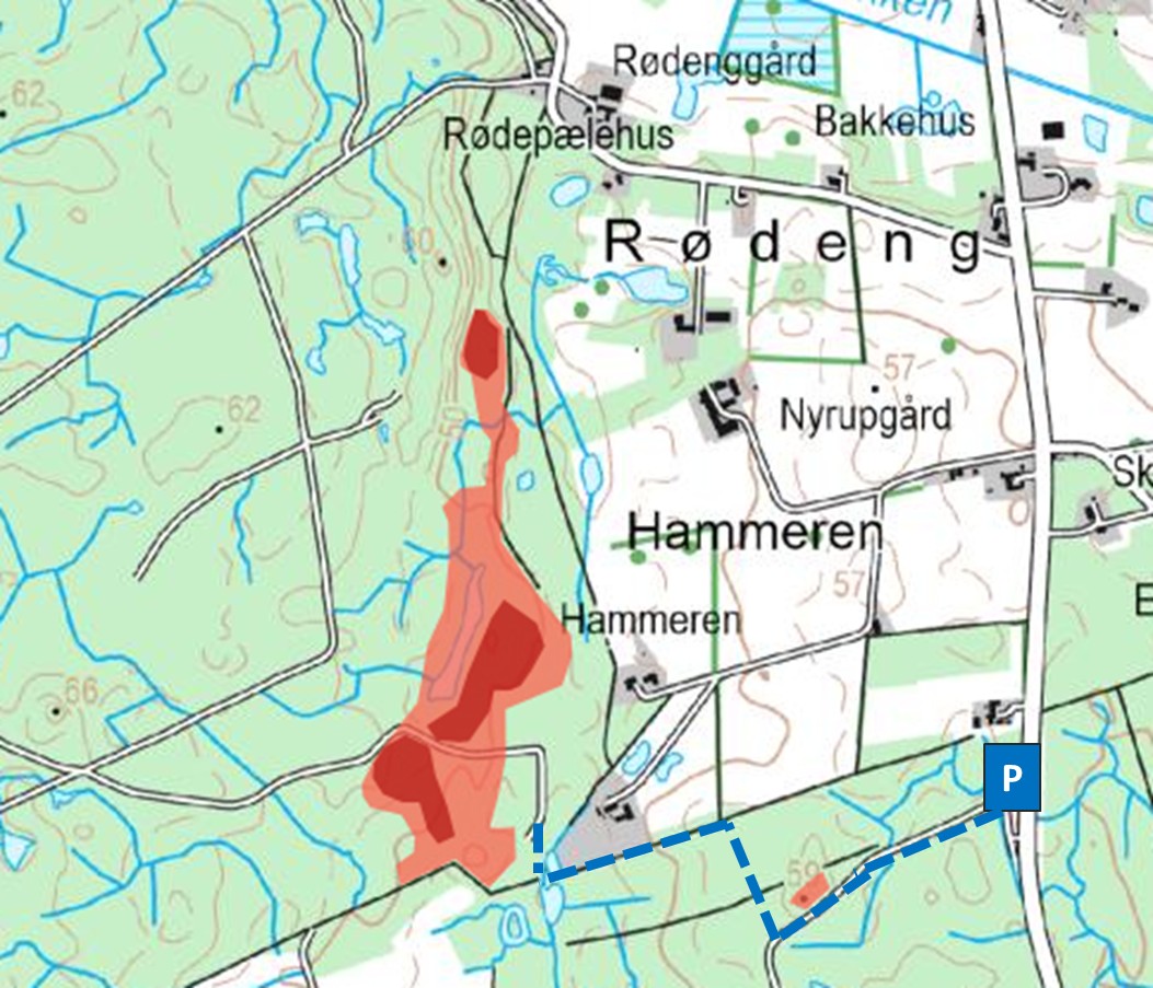 Kort over Nyrup Skov med synlige, markerede stenbestrøninger