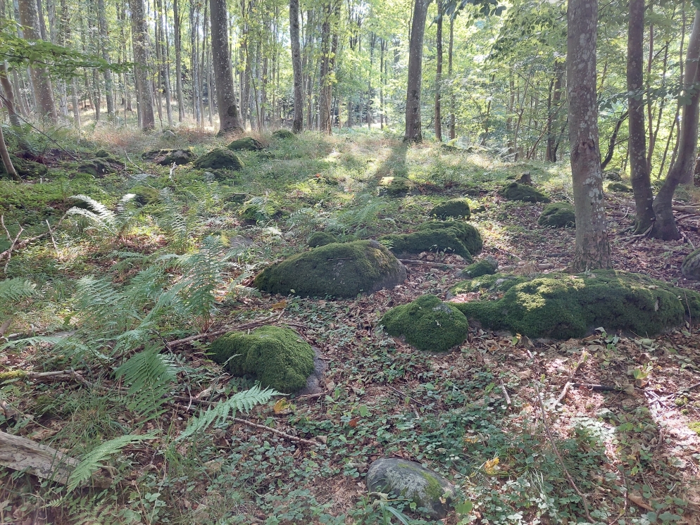 Stenbestrøning i Agernhave