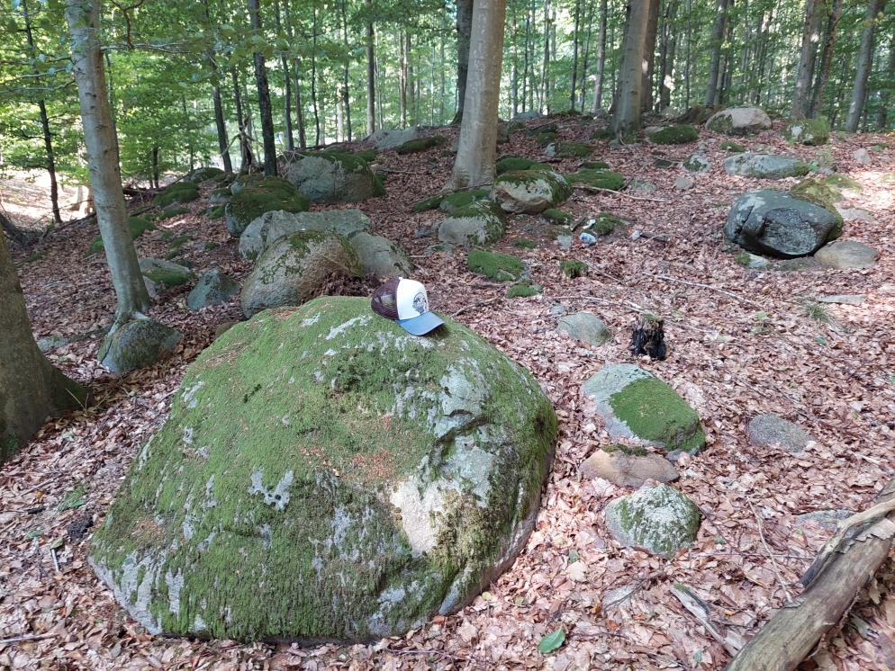 Stenbestrøning i Nyrup Skov