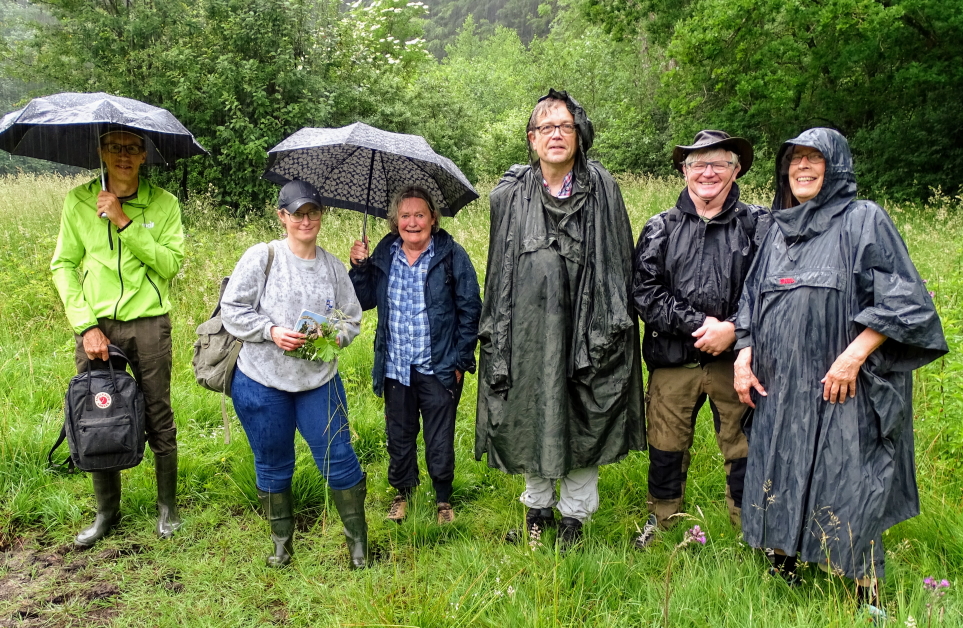 Årsberetning for DN Sorø for 2021