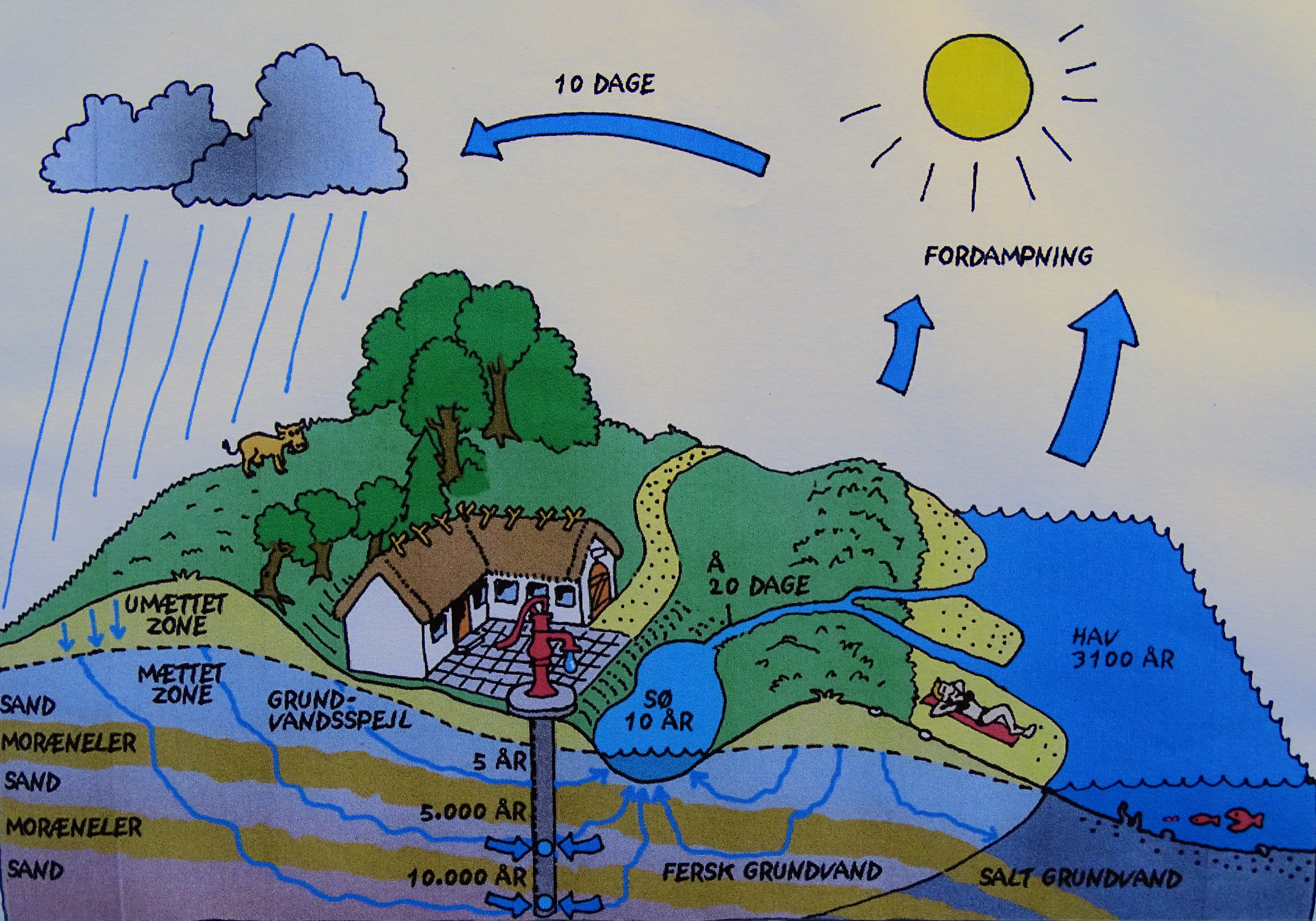 Indsatsplan for grundvandsbeskyttelsen i Sorø Kommune