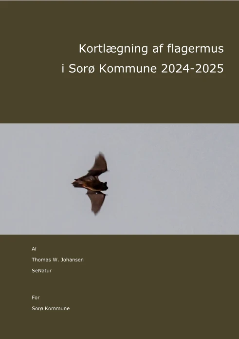 Todo