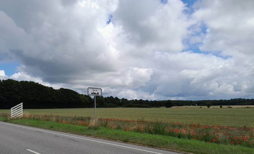Respektér kommuneplanen og skab plads til naturen