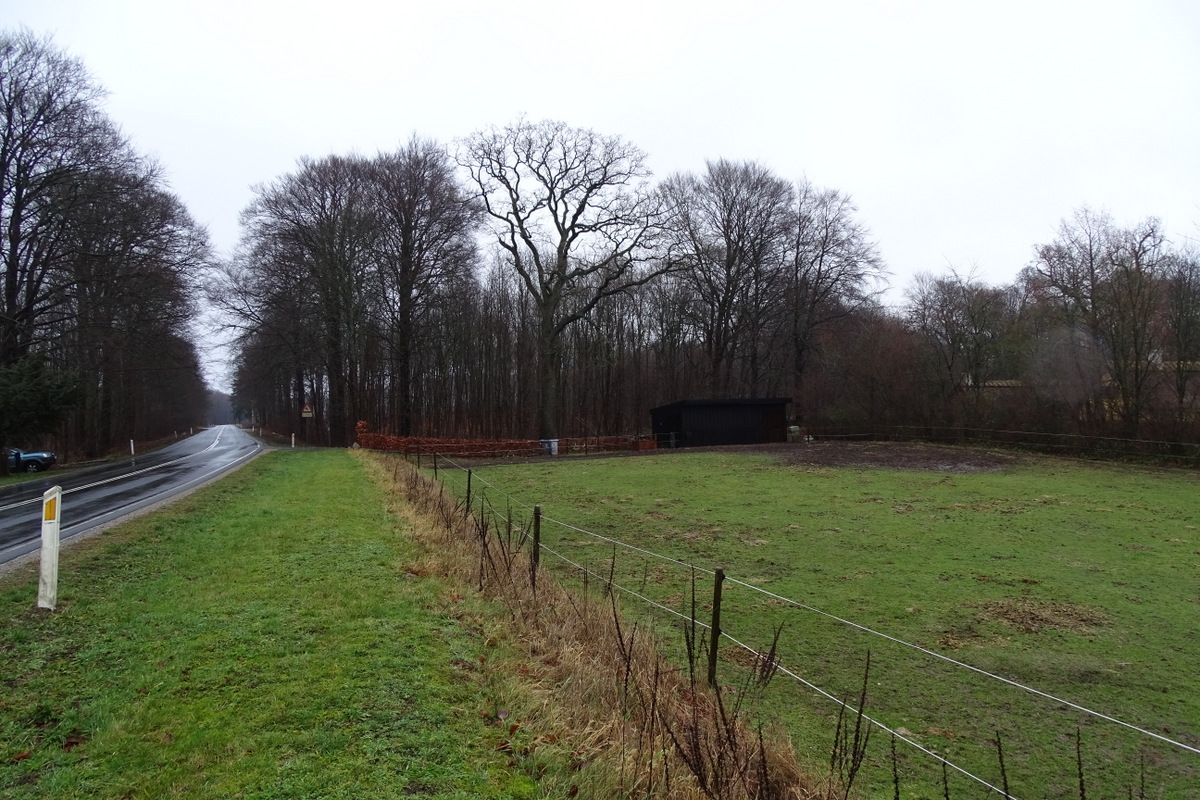Klage over landzonetilladelse til udvidelse af læskur på Parnasvej 1, Sorø