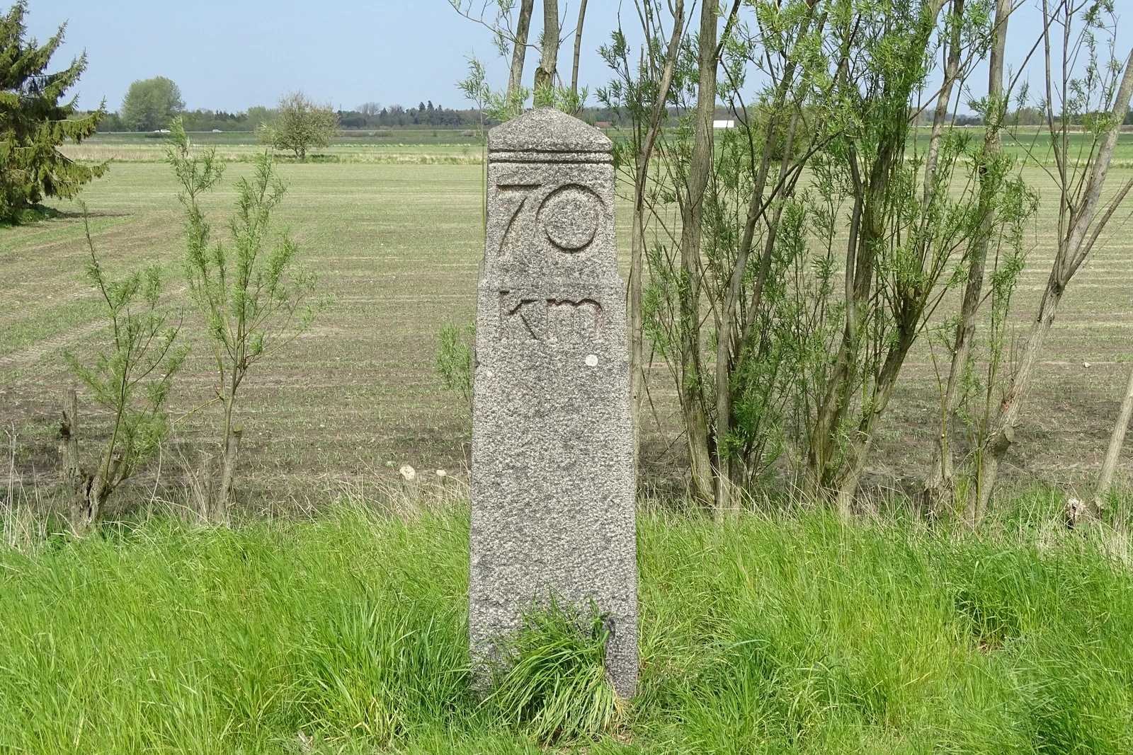 Todo