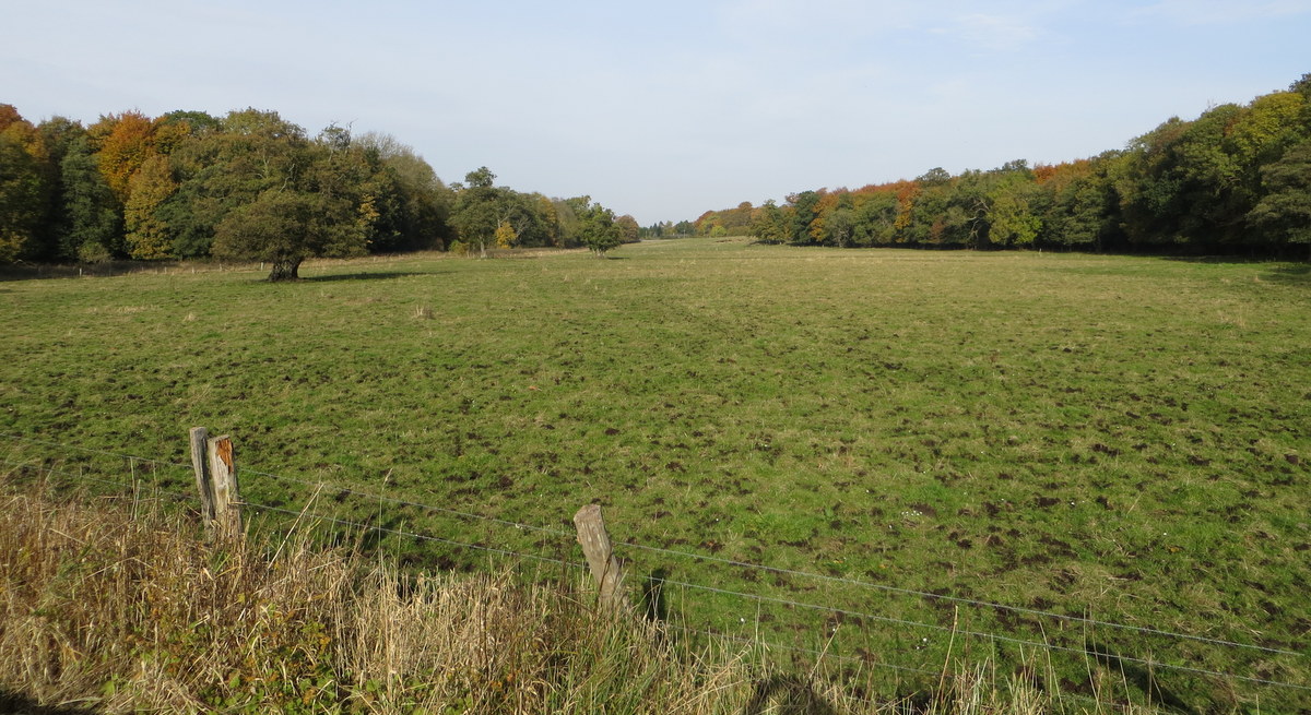 Fredninger i fare - også i Sorø