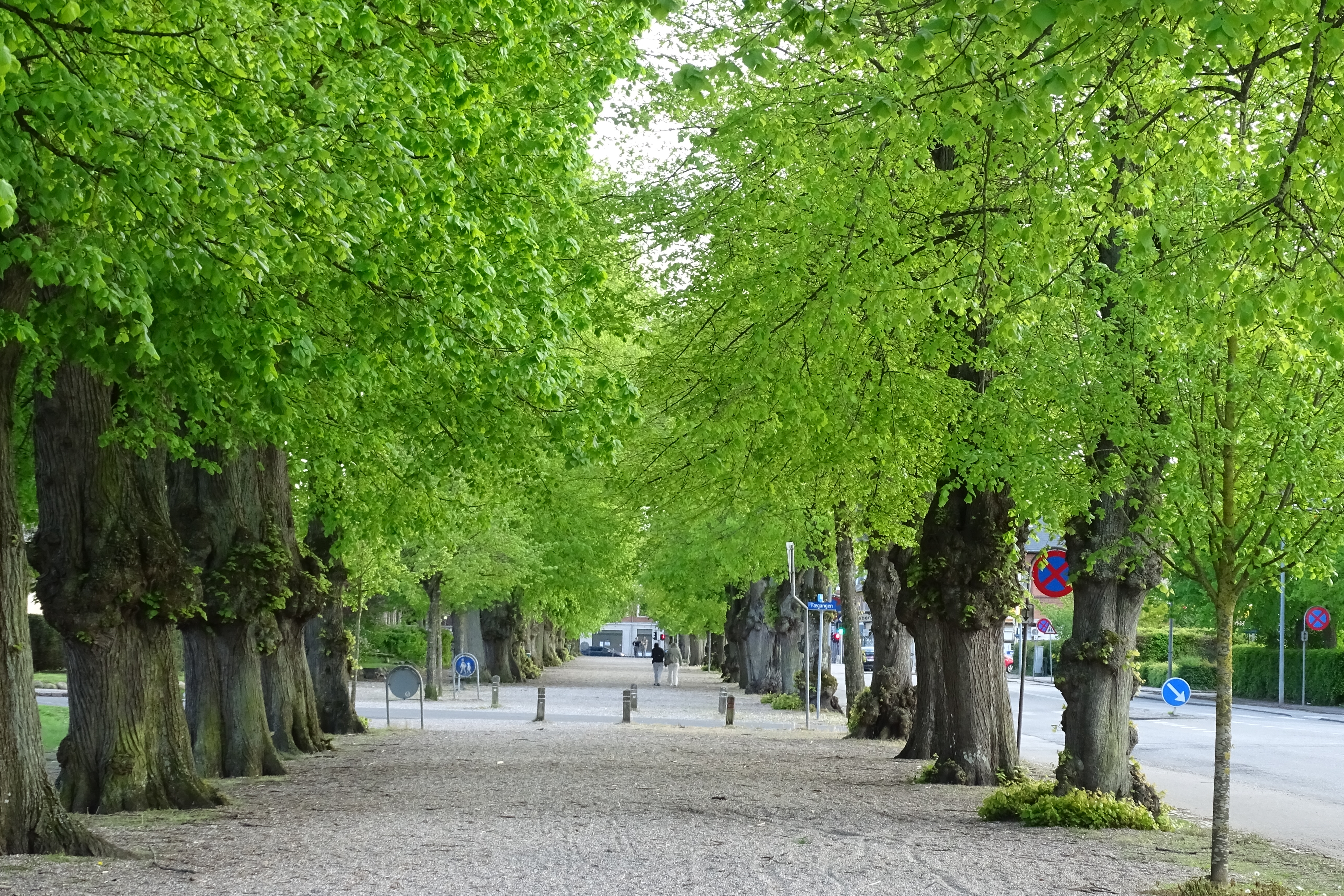 Bevar de grønne oaser og respektér lokalplanen
