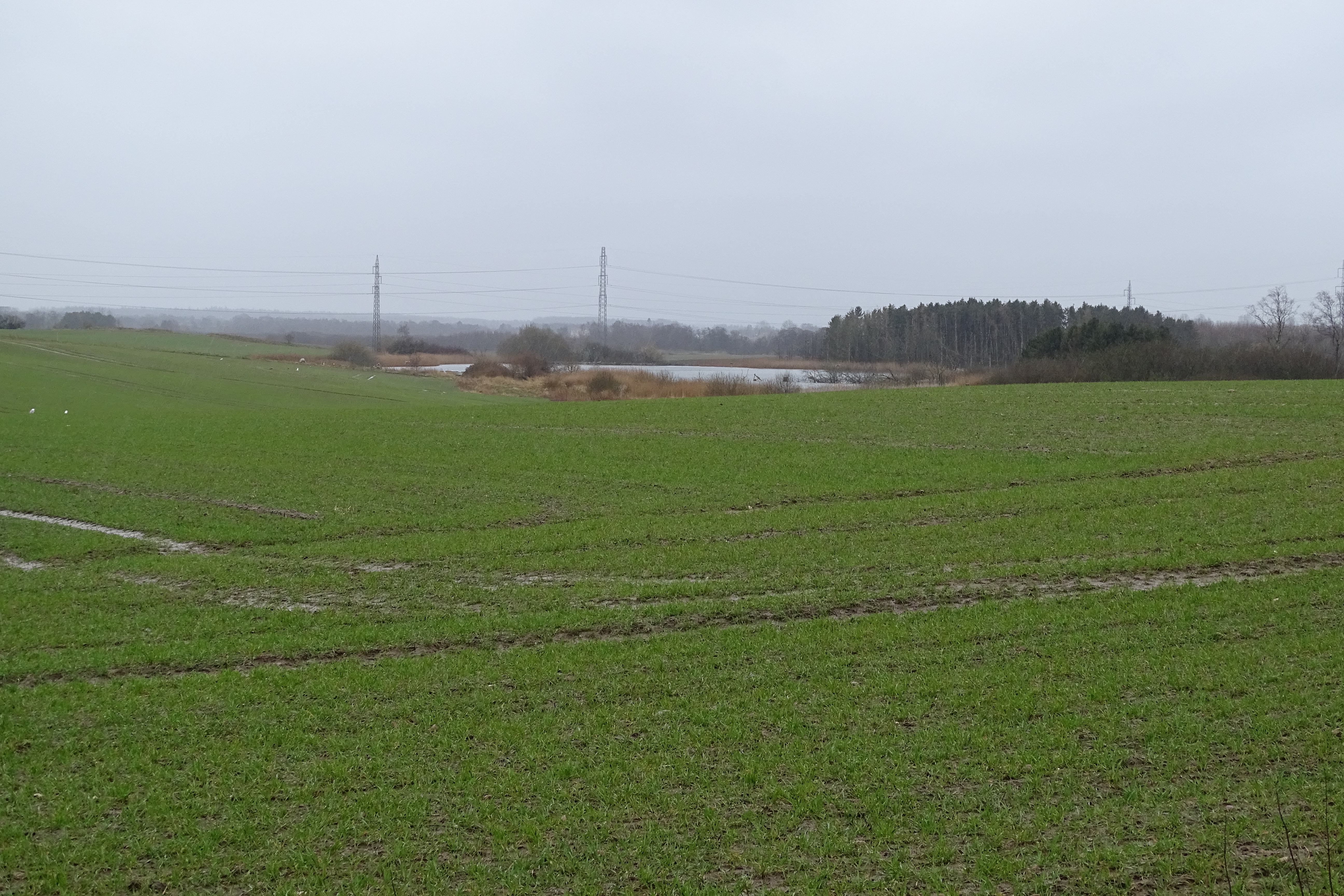 DN Sorø prøver dialogen først
