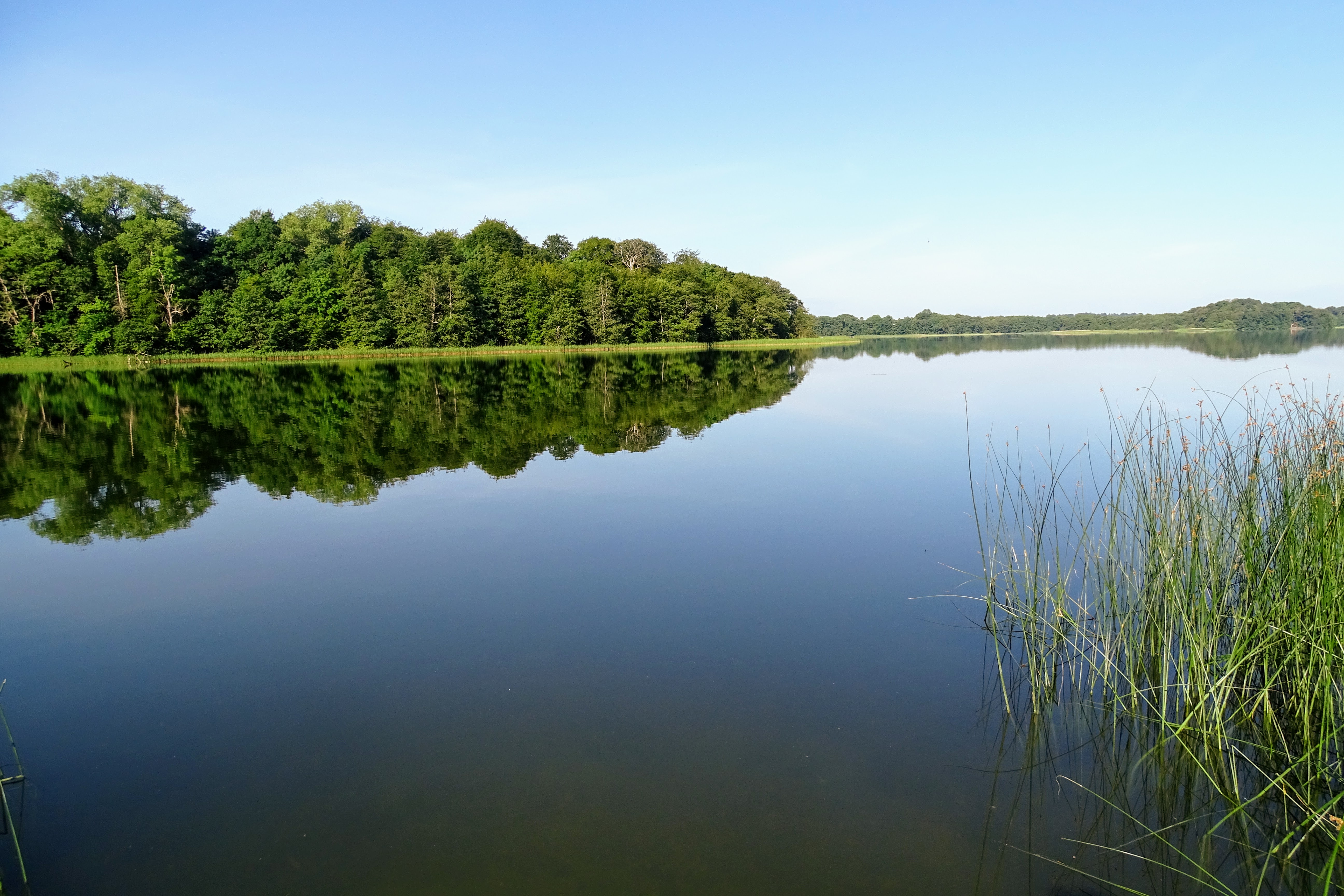 DN Sorø fik medhold i klage
