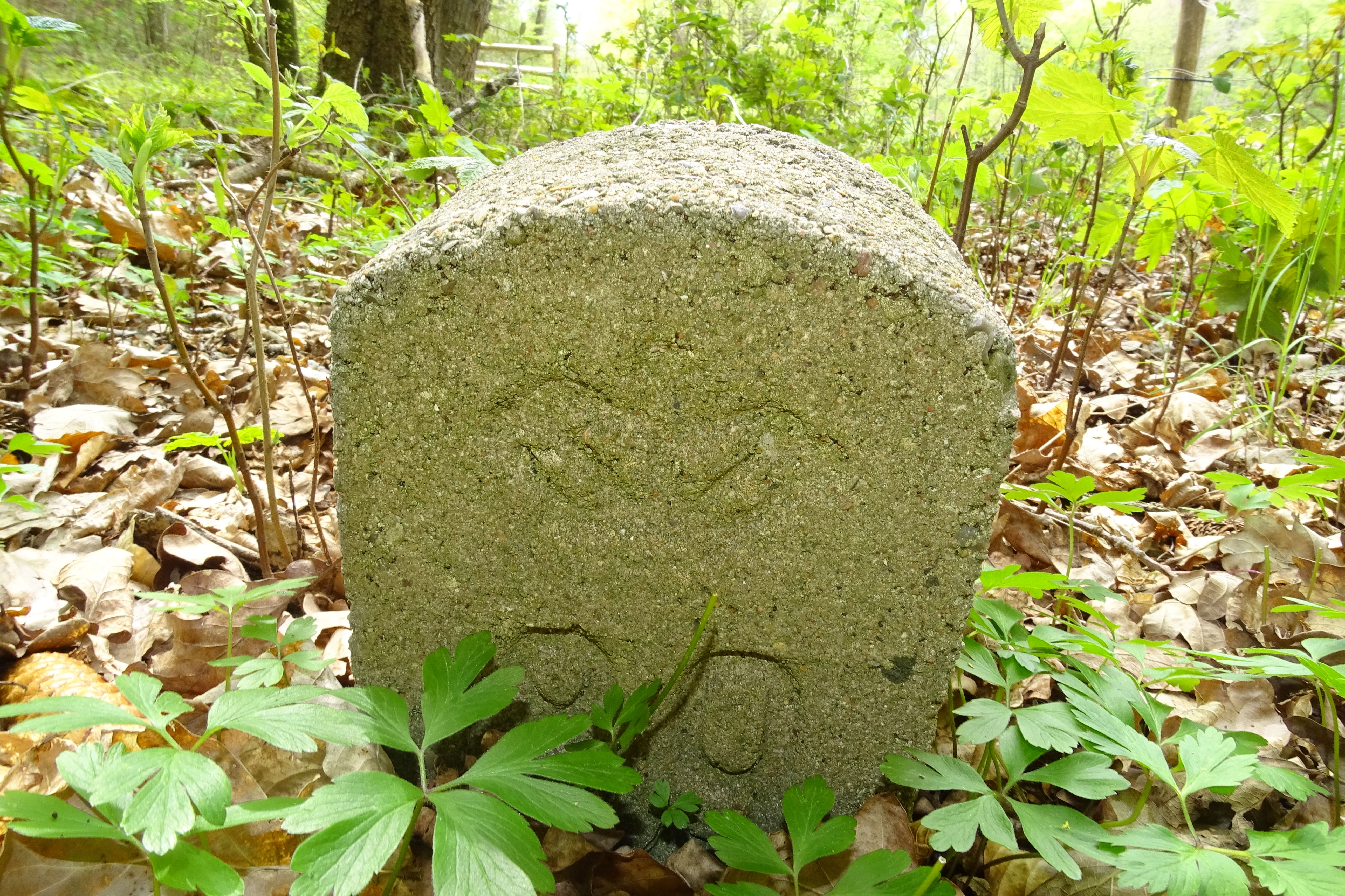 Nye markeringssten i Sorø