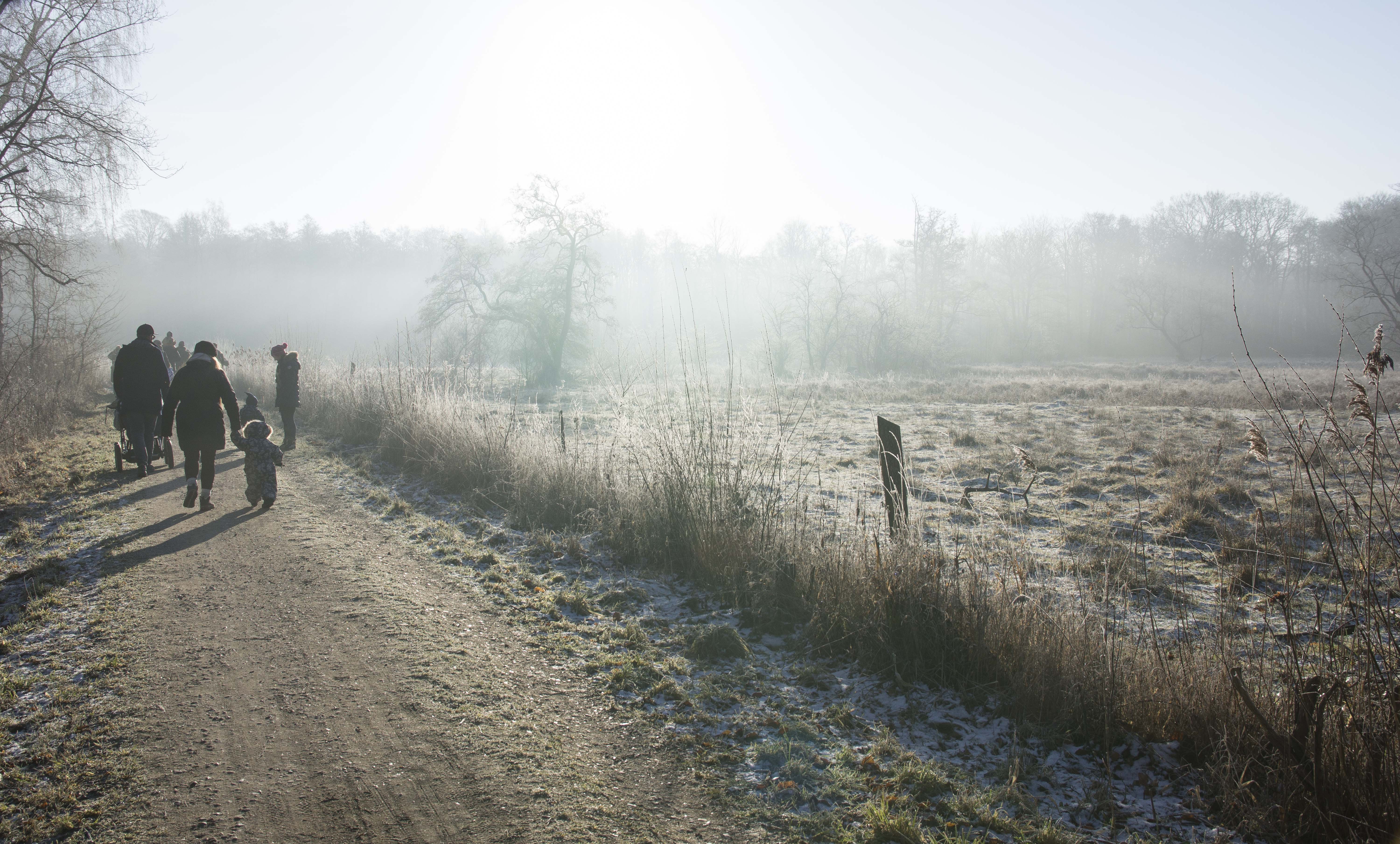 Stort fremmøde på Flommen i Sorø
